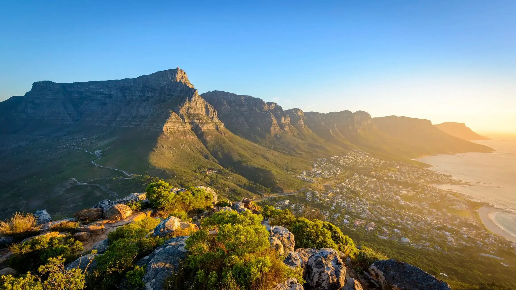 home-bg-lions-head (1)